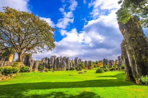 微信图片_20181120153156