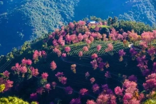 微信图片_20181120154622 微信图片_20181120154622