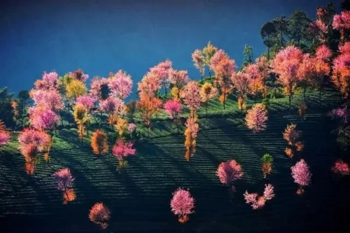 微信图片_20181120154629 微信图片_20181120154629