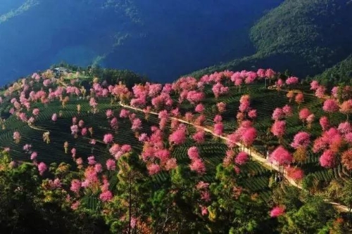 微信图片_20181120154632 微信图片_20181120154632