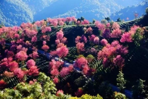 微信图片_20181120154634 微信图片_20181120154634