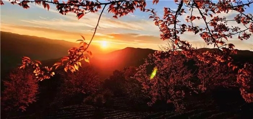 微信图片_20181120154637 微信图片_20181120154637