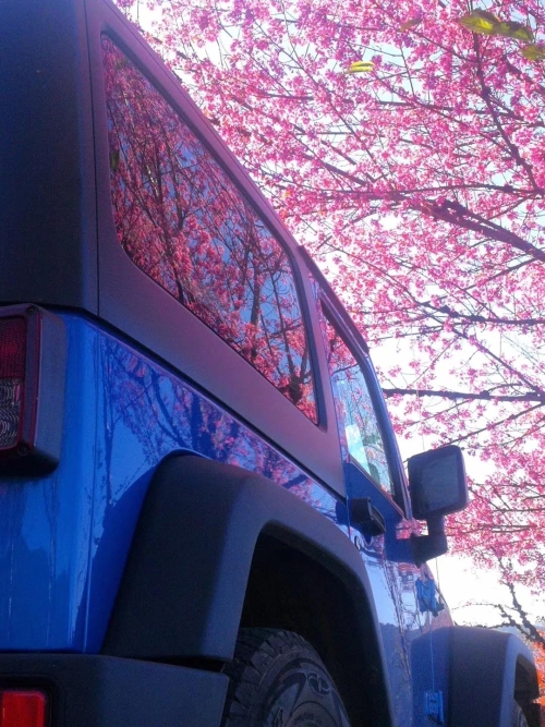 微信图片_20181120154642 微信图片_20181120154642