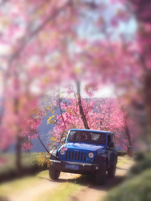 微信图片_20181120154645 微信图片_20181120154645