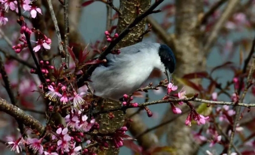 微信图片_20181120154700 微信图片_20181120154700