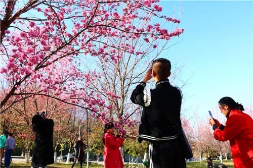 微信图片_20181120154726 微信图片_20181120154726