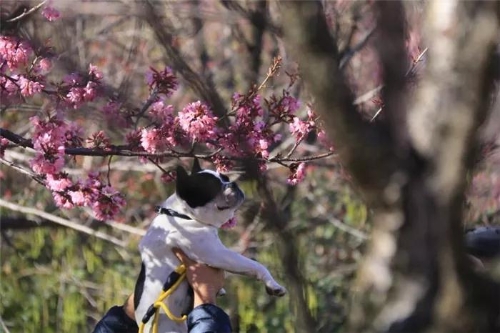 微信图片_20181120154729 微信图片_20181120154729
