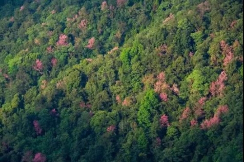 微信图片_20181120154738 微信图片_20181120154738