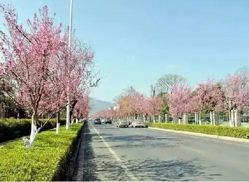 微信图片_20181120154749 微信图片_20181120154749