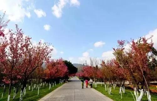 微信图片_20181120154752 微信图片_20181120154752