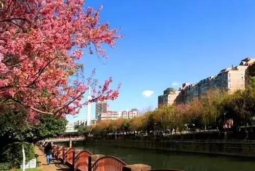 微信图片_20181120154754 微信图片_20181120154754