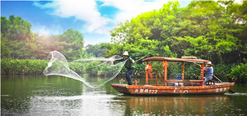 微信截图_20181121101922