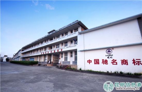 云南茶叶：探寻那一抹独特的绿意