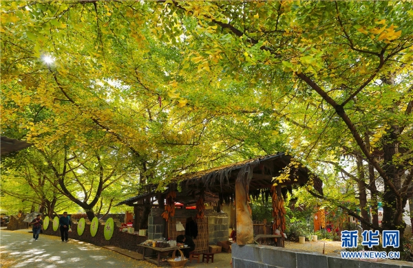 137603391_15421832445901n