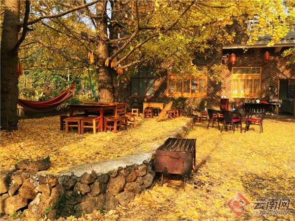 137618941_15426768668011n