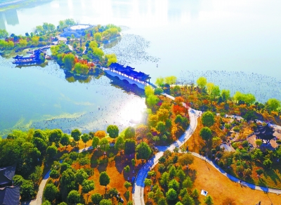 1123749753_15428466012631n