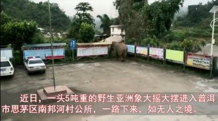 QQ截图20181123212438 QQ截图20181123212438