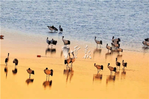 5bf8ac2d04097 5bf8ac2d04097