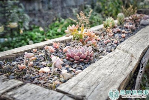 QQ截图20181124140423 QQ截图20181124140423