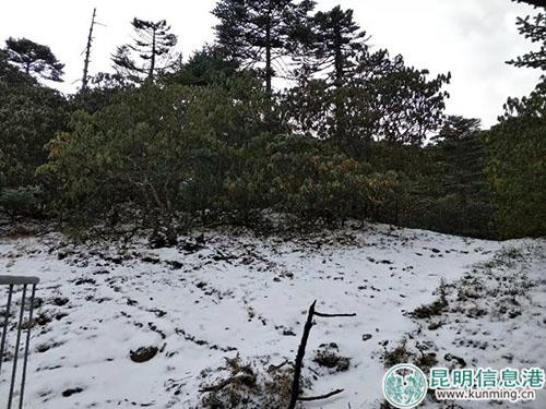 15431096186719216201914459465_151