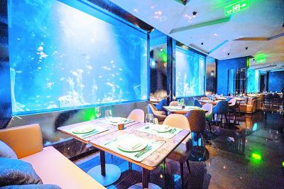 “深坑酒店”让环境伤疤变风景