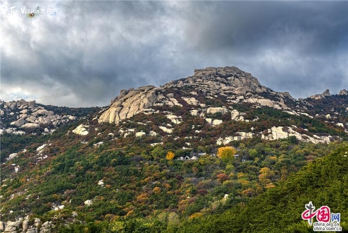 93f65a53-2bc9-4c24-a708-e1a70698d0bd_batchwm