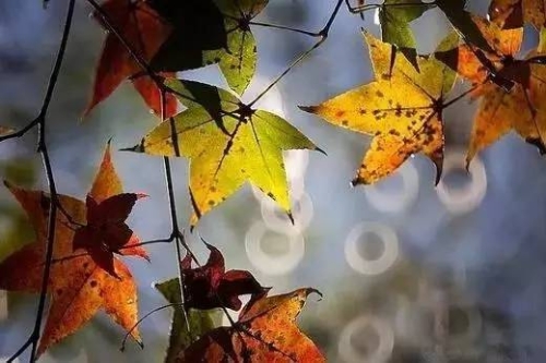 701051bfd4ba4457a688e11d6d9b7fd7_th 701051bfd4ba4457a688e11d6d9b7fd7_th