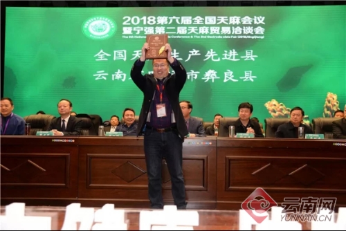 00300212979_7275788a