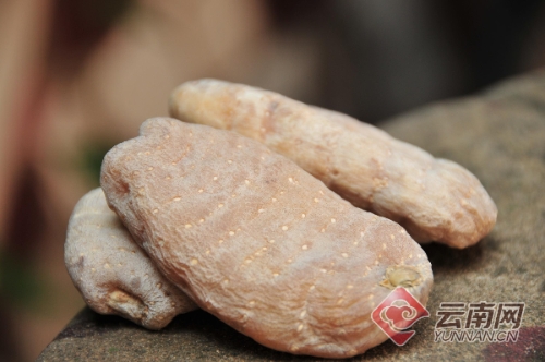 00300212981_50591095