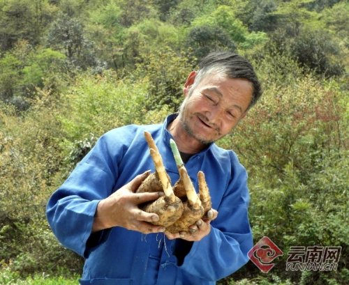 00300212987_4cc0cb50