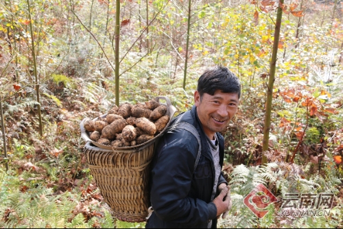 00300212983_051fefd8