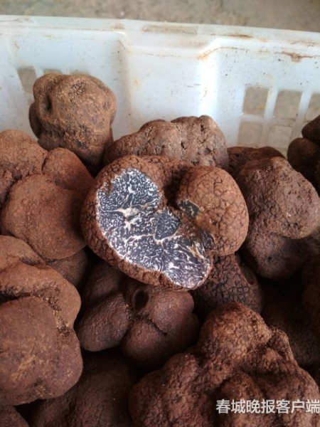 20181126163717N5LQOD