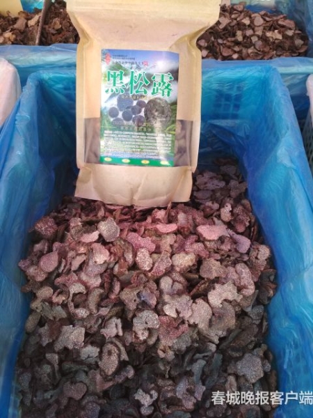 20181126163717I8Q01U