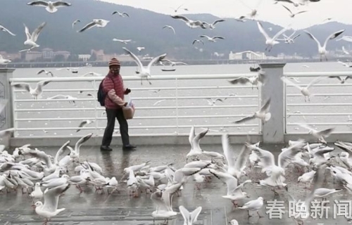 201802021602261M2UTW