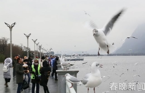 20180202160226IA77QE