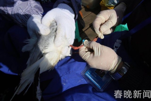 201711301130446E1V64