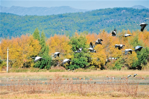 QQ图片20181127075850