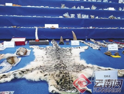 00300213163_67e3bddb 00300213163_67e3bddb