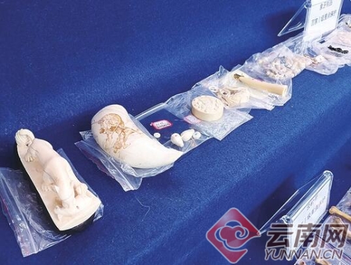 00300213164_ba729162 00300213164_ba729162