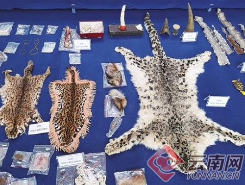 00300213165_31957469 00300213165_31957469