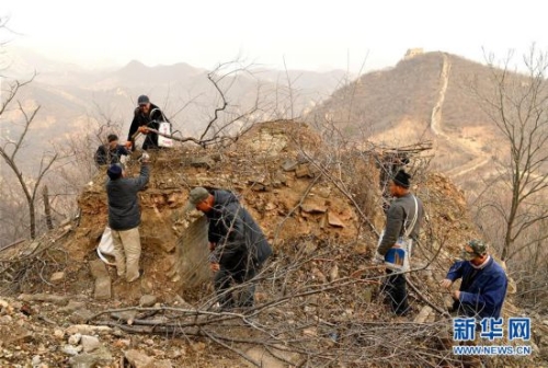 11月27日,延庆区大庄科乡香屯村村民在清理古长城上的杂草和树木。 新华社记者 李欣 摄 11月27日,延庆区大庄科乡香屯村村民在清理古长城上的杂草和树木。 新华社记者 李欣 摄