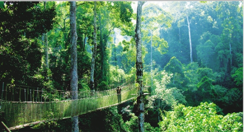 微信截图_20181128103914