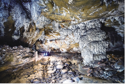 微信截图_20181128104008