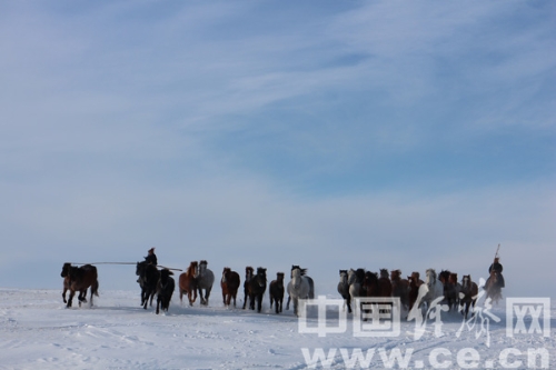 W020181128385901365300