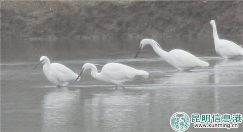 微信图片_20181129192451 微信图片_20181129192451