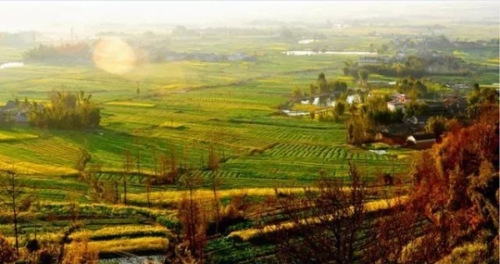 00300218012_b1181568