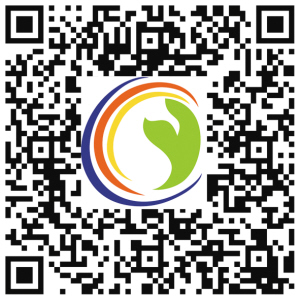 50631543512517198 50631543512517198