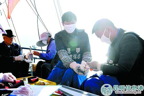 QQ图片20181130085138