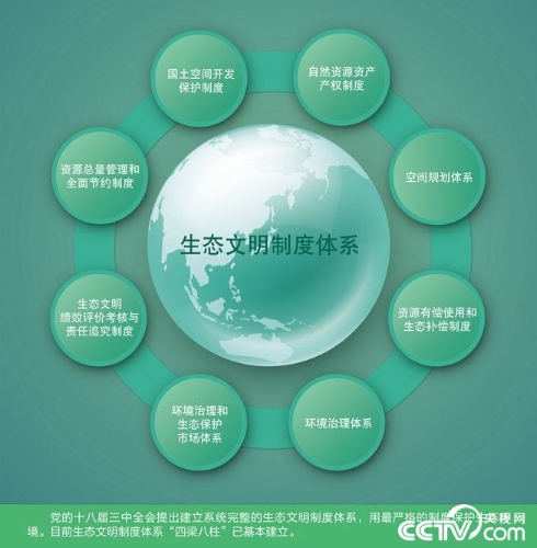 PHOTgll2bvrTgCxFcleFOj2s181202_1000x2000