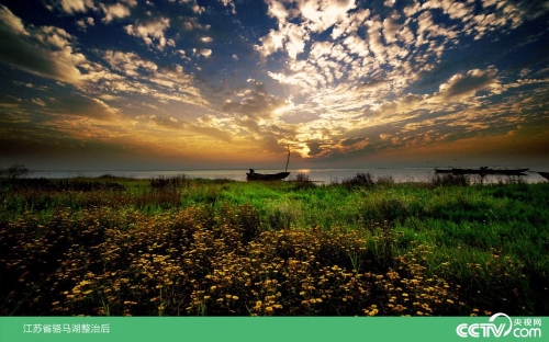 PHOTYuOYjOXGudVA796pyRWP181202_1000x2000